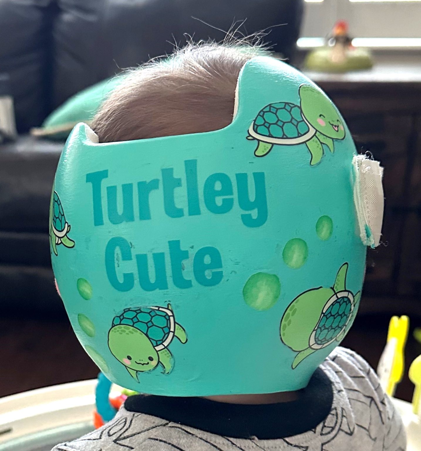 Turtley Cute cranial band decoration