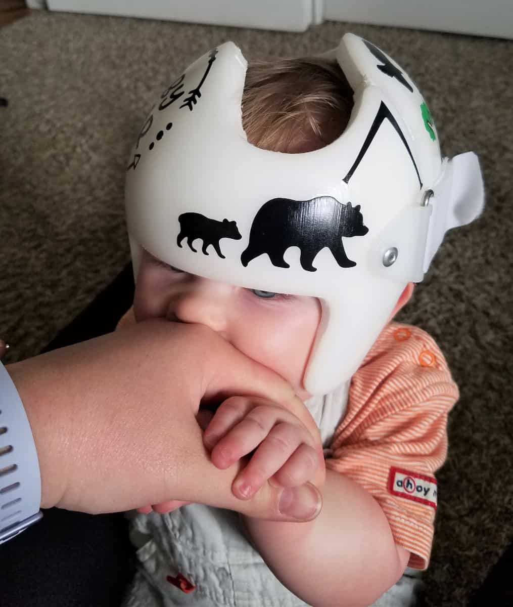 Baby Bear cranial band decals - Image 17