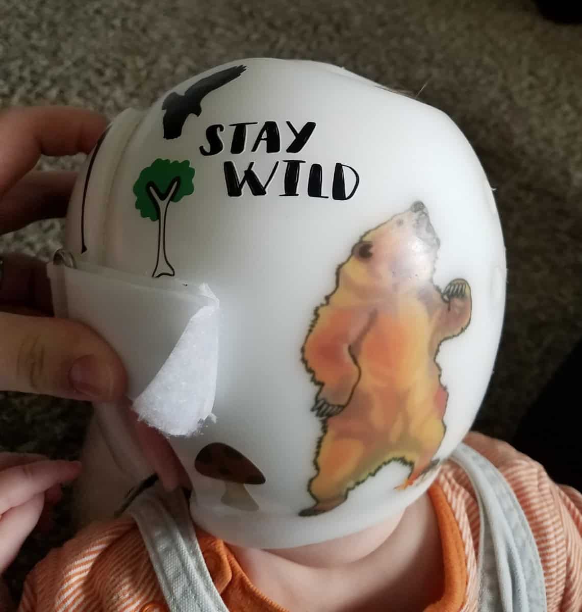 Baby Bear cranial band decals - Image 18