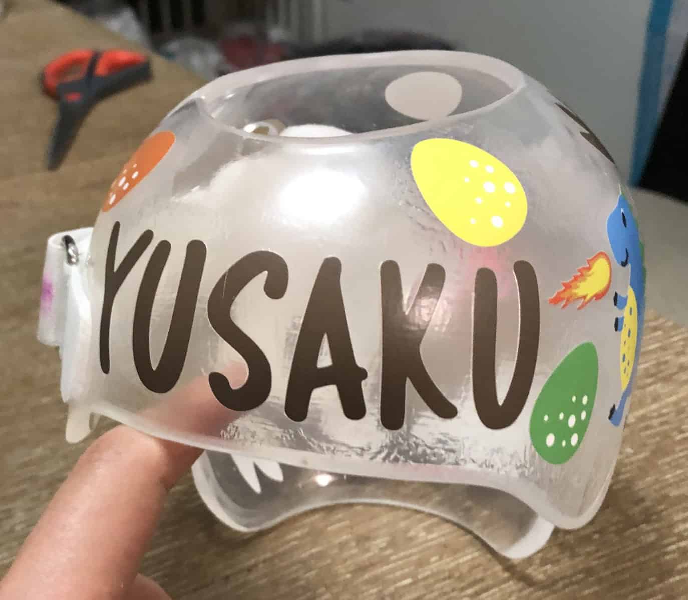 Dinosaur 4 cranial band decals - Image 18