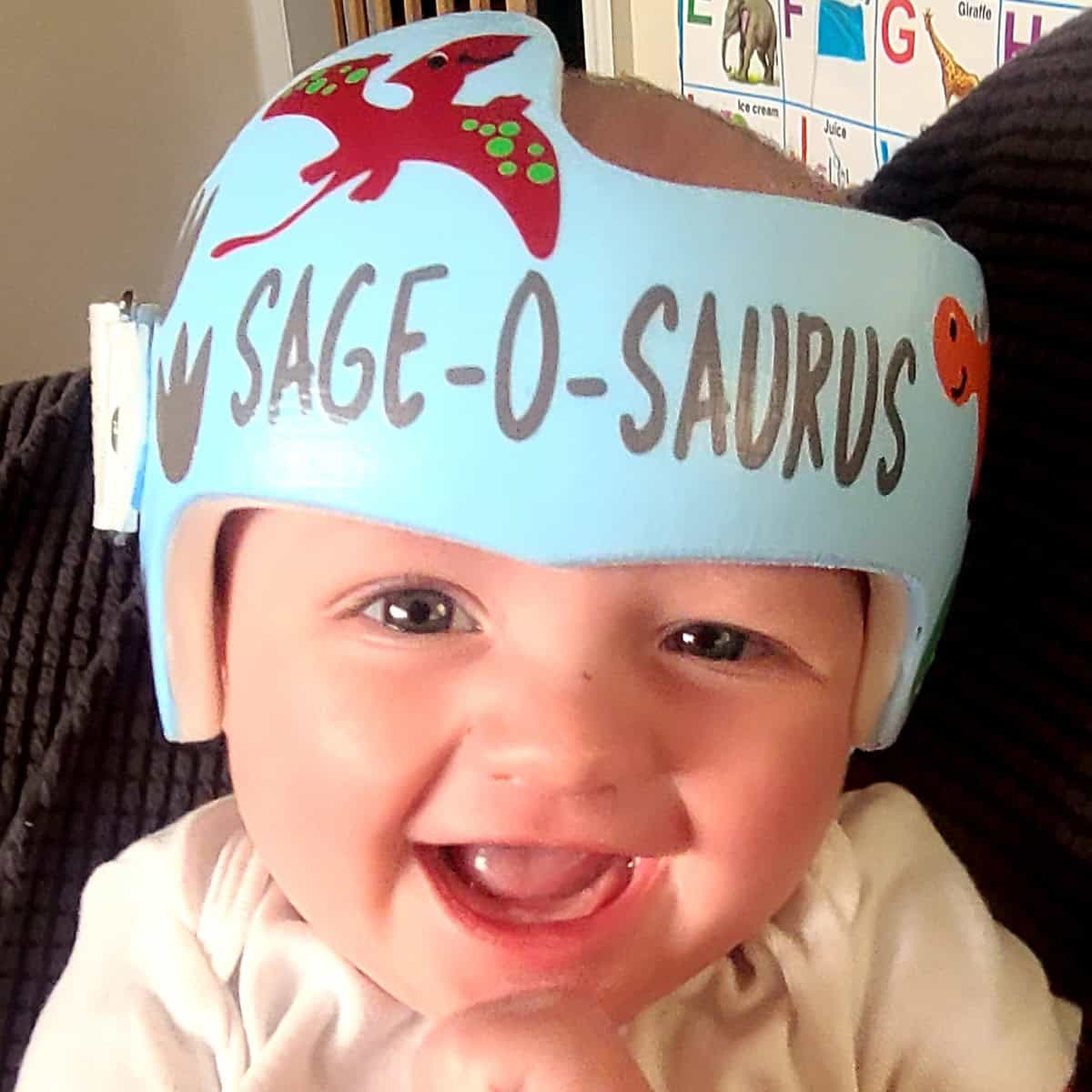 Dinosaur 4 cranial band decals - Image 21