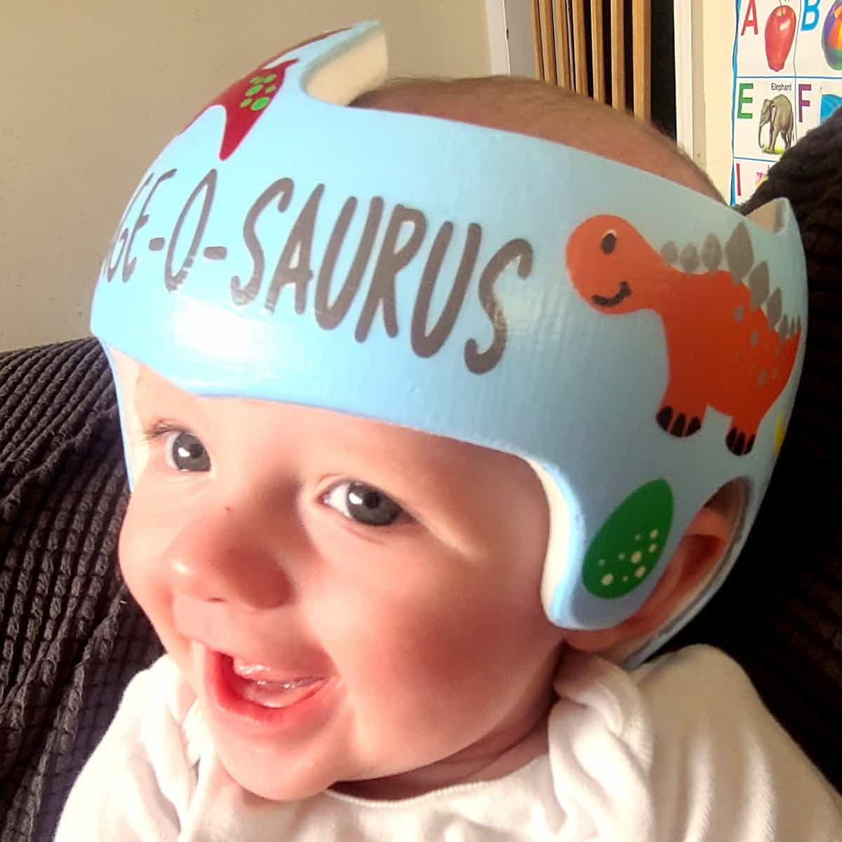 Dinosaur 4 cranial band decals - Image 22