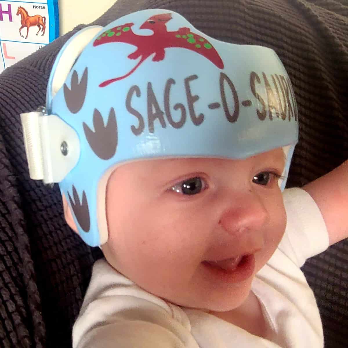 Dinosaur 4 cranial band decals - Image 23