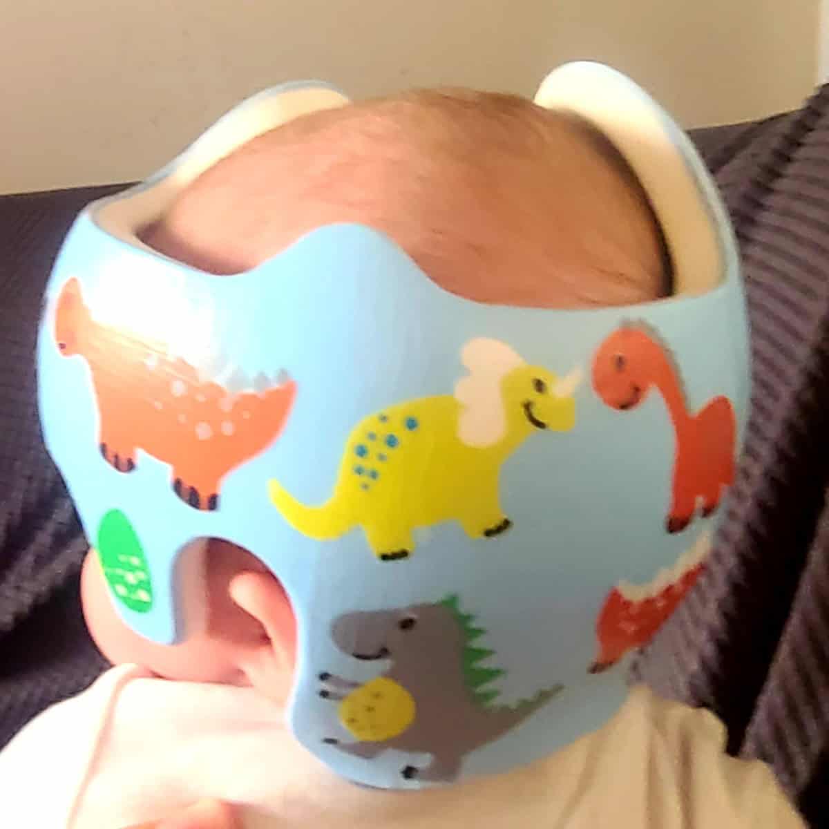 Dinosaur 4 cranial band decals - Image 24