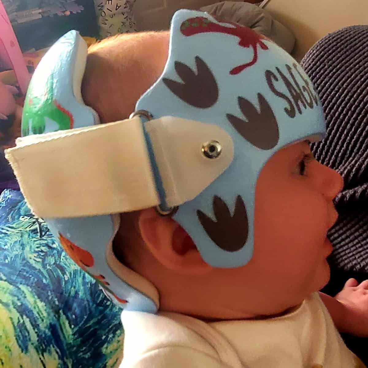 Dinosaur 4 cranial band decals - Image 26