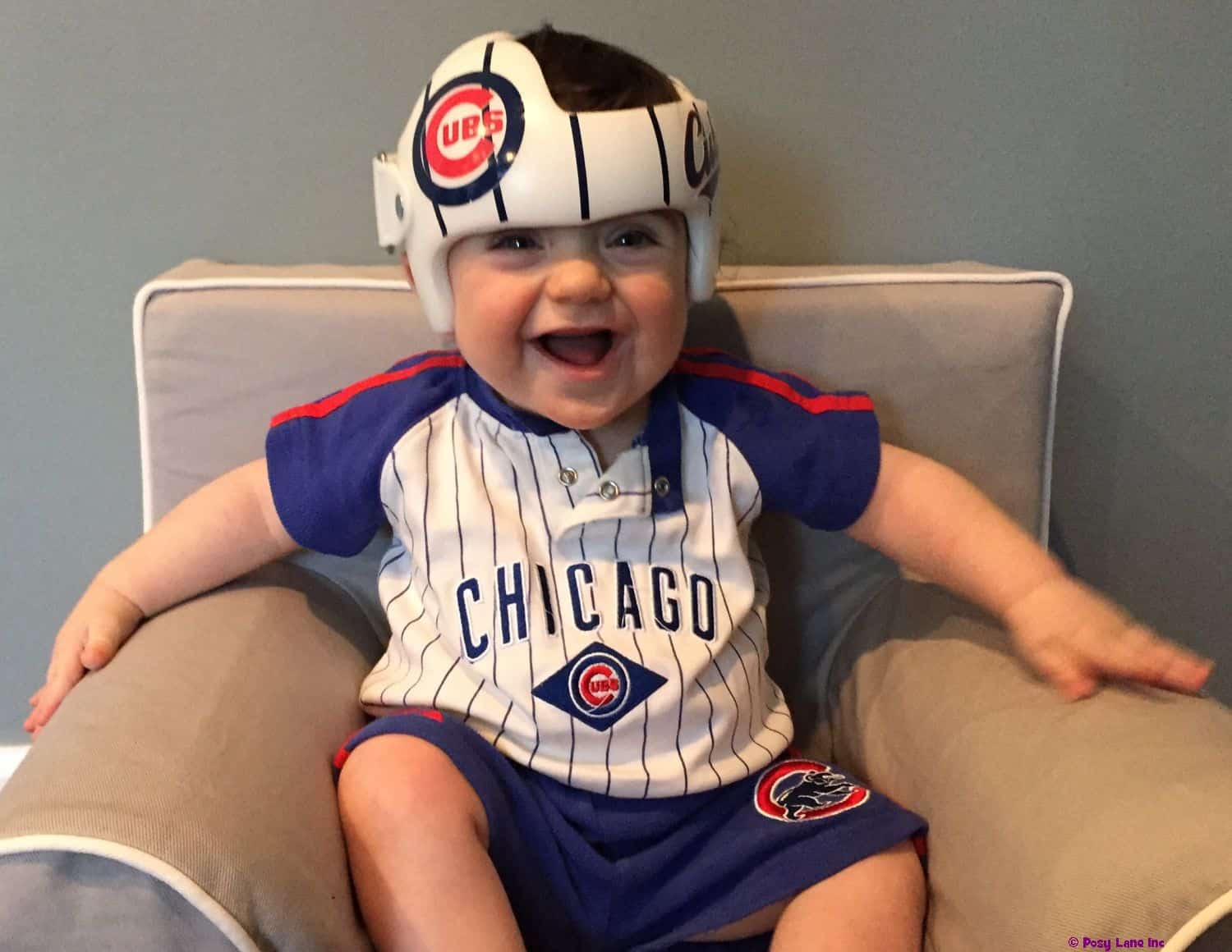 Chicago Cubs Baseball cranial band decals - Image 6