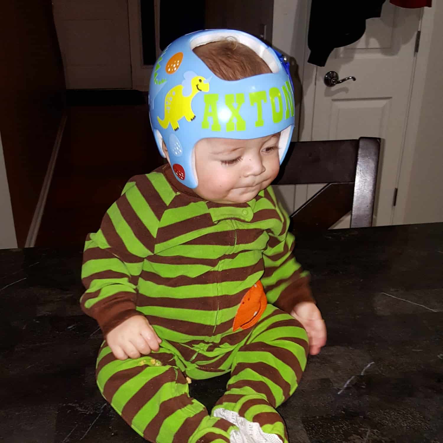 Dinosaur 4 cranial band decals - Image 7