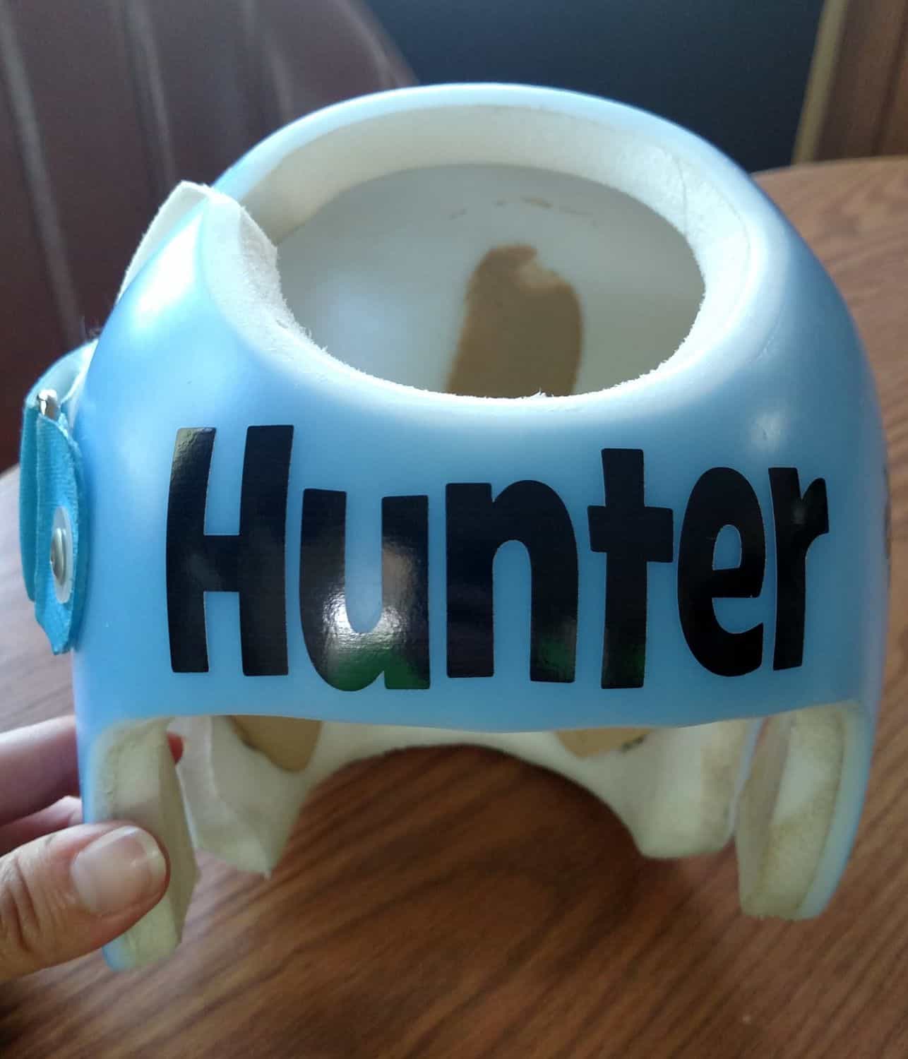 Hunting Prince cranial band decals - Image 13