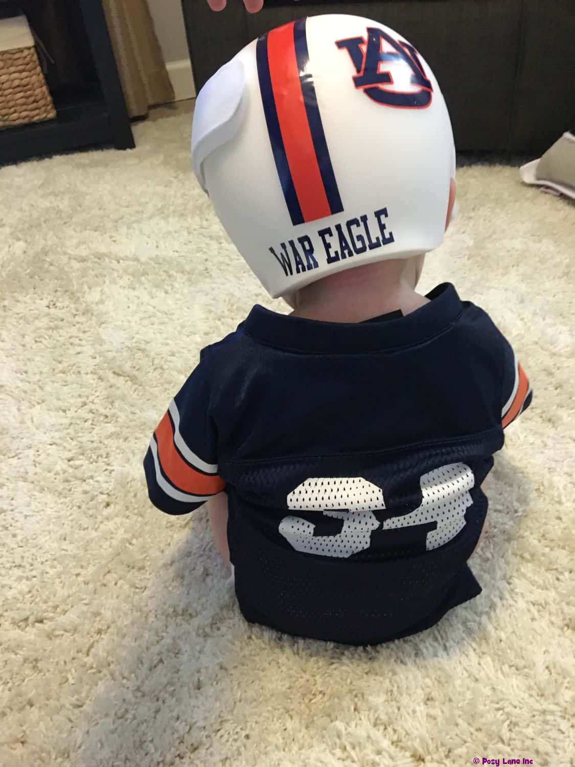 Auburn University cranial band decals - Image 5