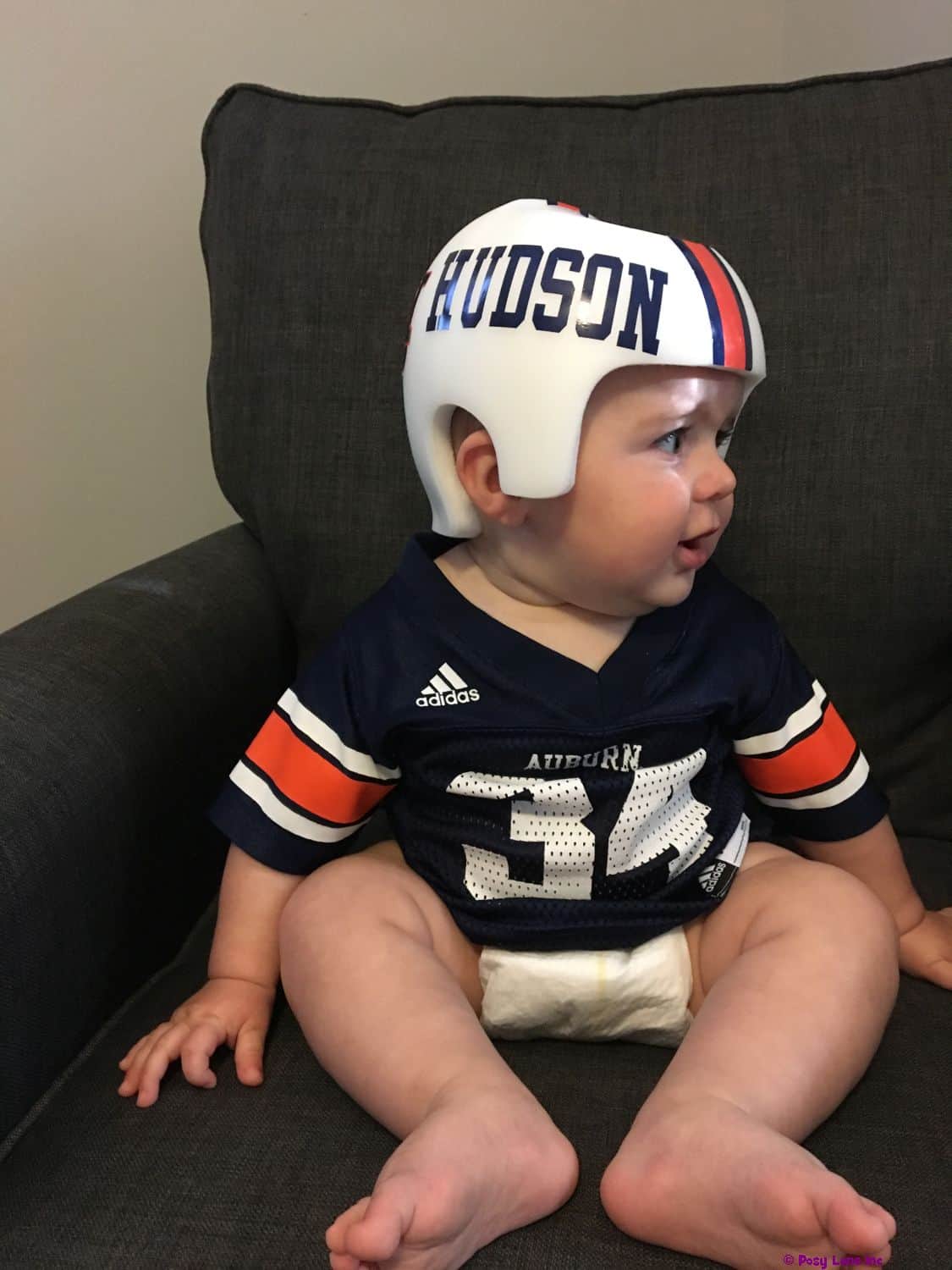 Auburn University cranial band decals - Image 6