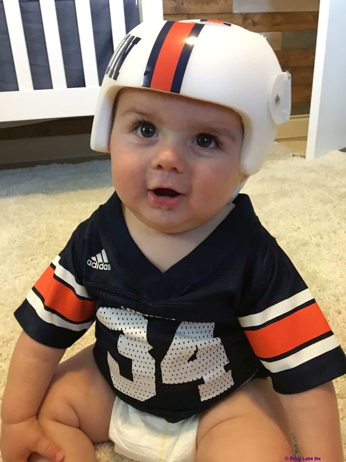 Auburn University cranial band decals - Image 7